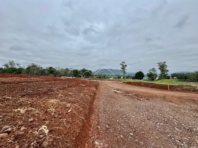 Uma estrada de terra vermelha atravessa uma área de campo aberto com vegetação ao fundo.