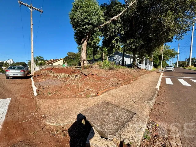 Terreno, foto 3