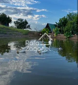 Área rural, foto 16
