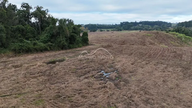Vista de um campo seco com vegetação densa ao fundo.