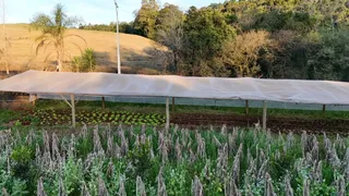 Área rural, foto 9