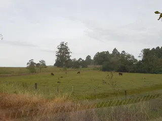 Área rural, foto 3