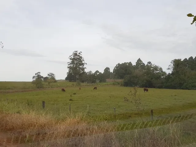 Área rural, foto 3