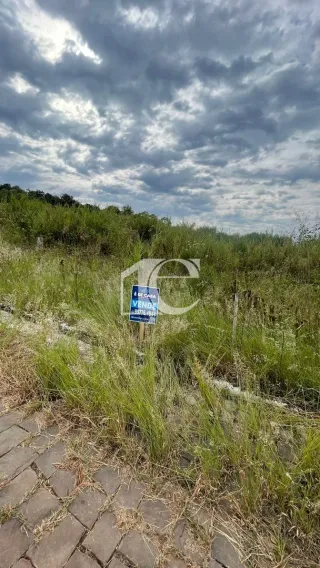 Terreno, foto 4