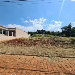 Vista de uma área externa de terra seca com vegetação rasteira.