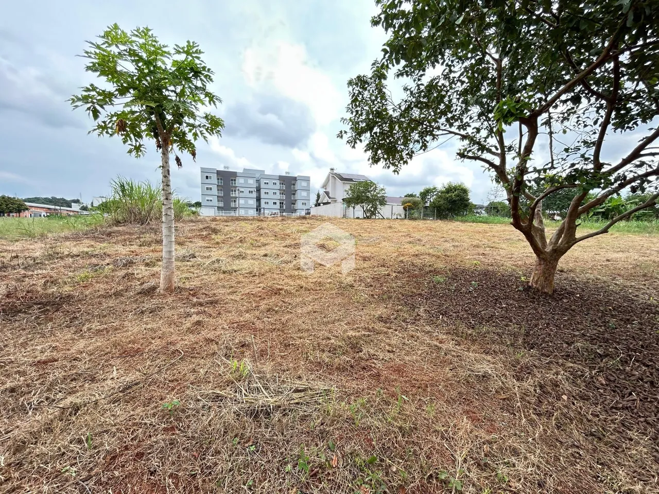 Paisagem de campo com árvores e um edifício ao fundo.