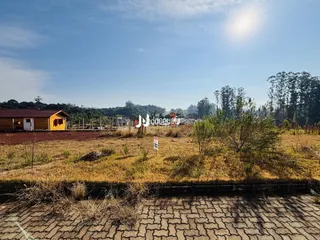 Paisagem de campo seca com vegetação no primeiro plano.