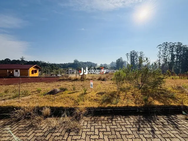 Paisagem de campo seca com vegetação no primeiro plano.