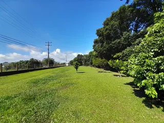 Área rural com 3 dormitórios, foto 14