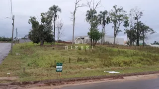 Terreno, foto 3