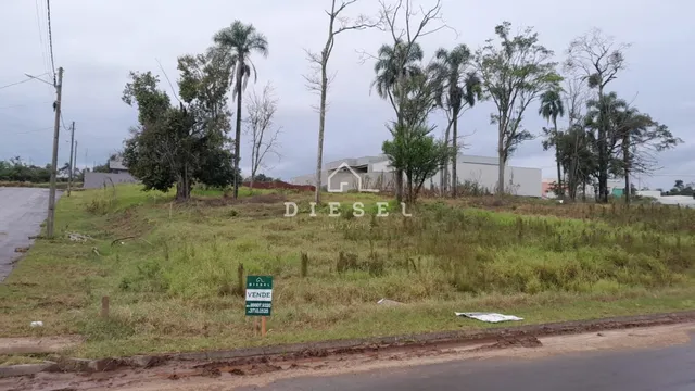 Terreno, foto 3