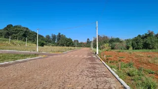 Vista de uma estrada pavimentada em uma área rural com vegetação ao fundo.