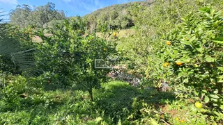 Área rural, foto 17
