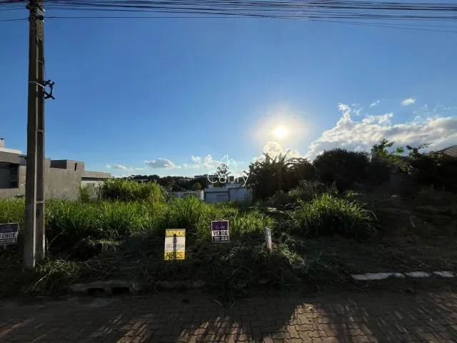 Terreno, foto 3