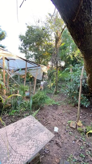 Casa com 3 dormitórios, foto 3