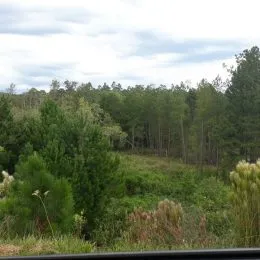 Área rural, foto 6