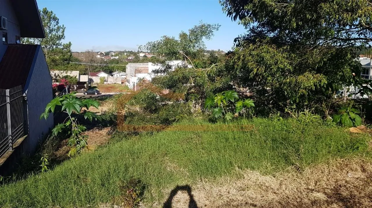 Terreno, foto 1