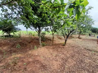 Área rural com 4 dormitórios, foto 11