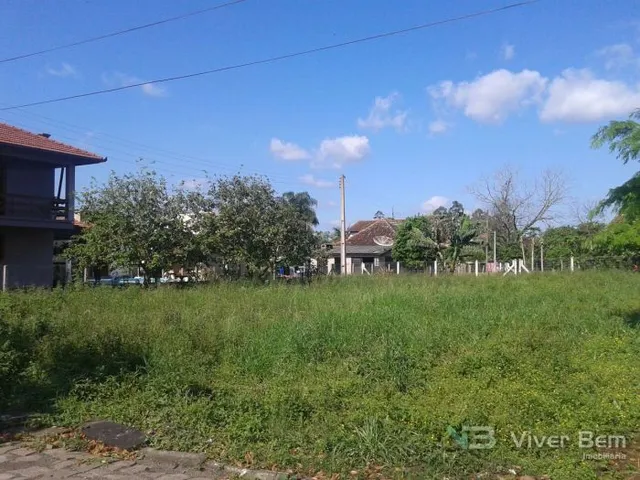 Terreno, foto 2