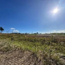 Terreno, foto 3