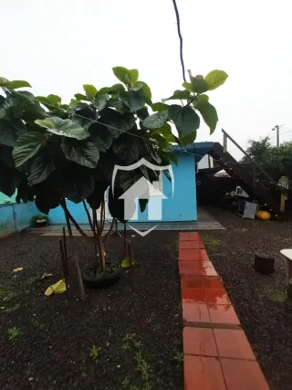 Terreno, foto 23