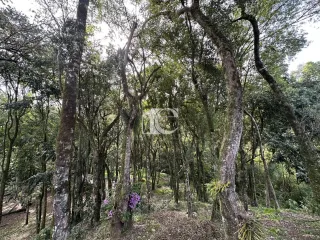 Área rural com 2 dormitórios, foto 20