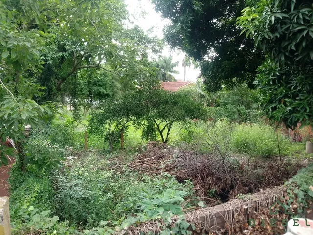 Terreno, foto 3