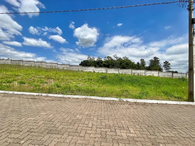 Terreno, foto 2