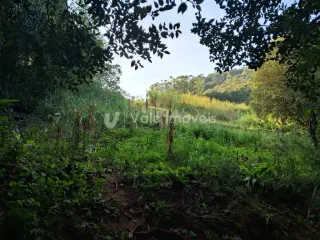 Área rural, foto 8