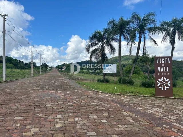 Vista de uma rua pavimentada com vegetação ao longo de uma paisagem aberta.