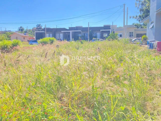 Terreno, foto 3
