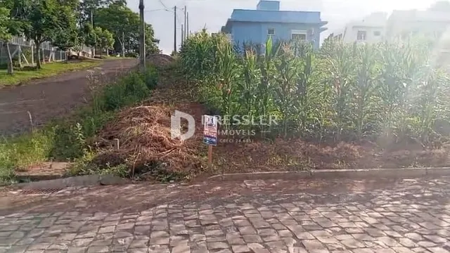Terreno, foto 5