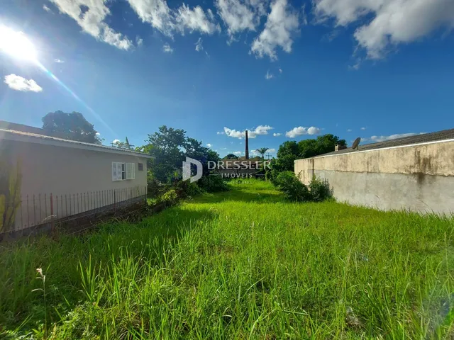 Vista externa de uma propriedade com gramado e muros ao fundo.