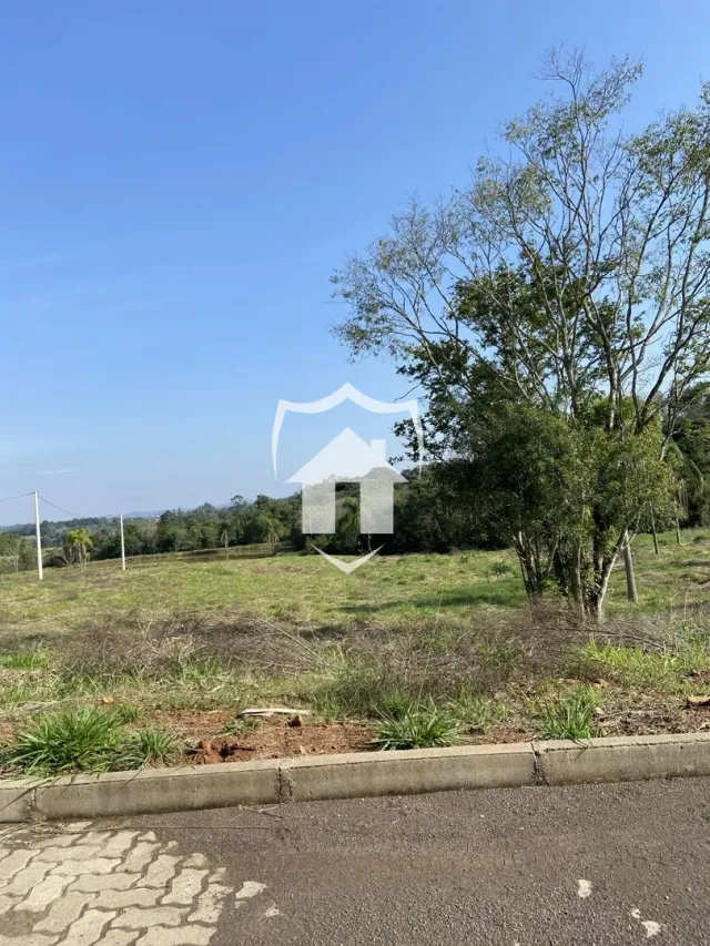 Terreno, foto 3