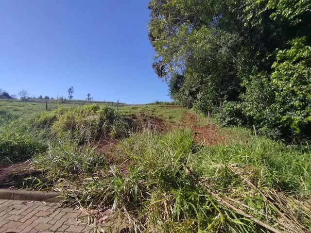 Terreno, foto 2