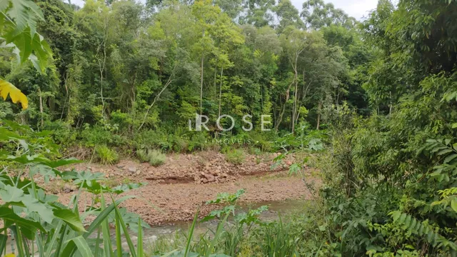 Área rural, foto 3