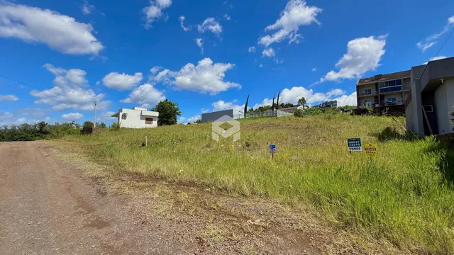 Vista da propriedade com vegetação alta e estrada de terra em primeiro plano.
