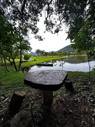 Área rural com 3 dormitórios, foto 5