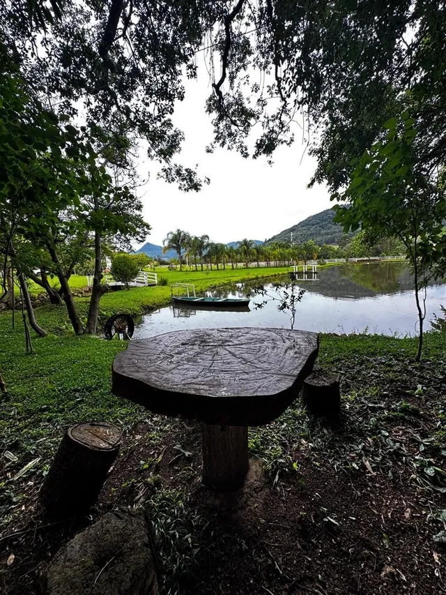 Área rural com 3 dormitórios, foto 5