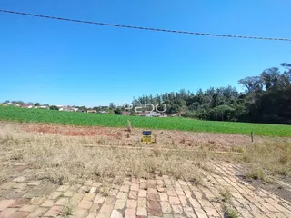 Paisagem de campo com vegetação e terra no primeiro plano.
