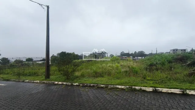 Vista externa da propriedade com vegetação alta e poste de utilidade.