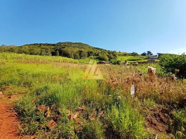 Terreno, foto 2