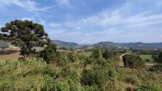 Vista panorâmica de paisagem com vegetação e colinas no horizonte.