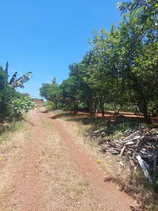Área rural com 3 dormitórios, foto 13