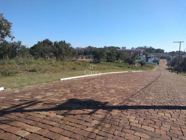 Terreno, foto 4