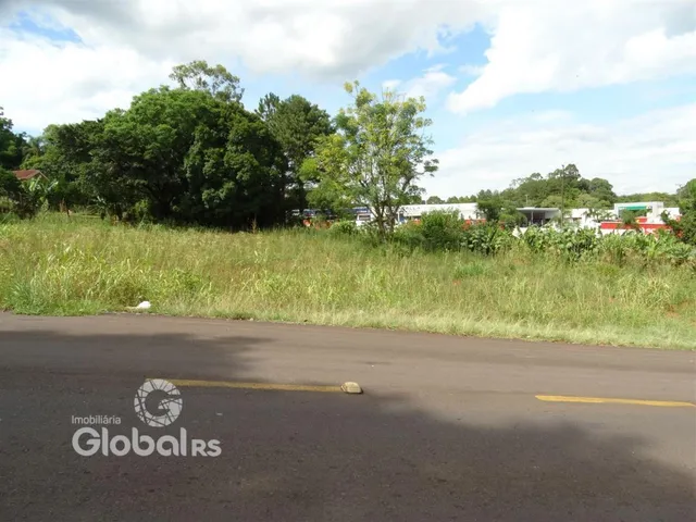 Paisagem de campo com vegetação e estrada em Lajeado.