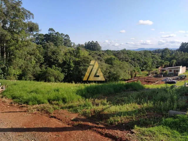 Terreno, foto 2