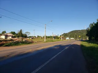Vista de uma estrada com vegetação ao lado.