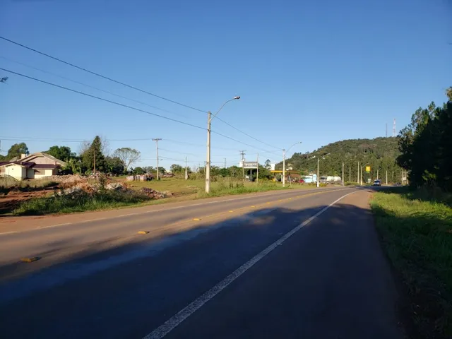 Vista de uma estrada com vegetação ao lado.