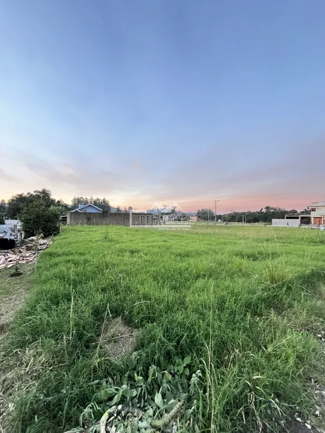 Terreno, foto 5